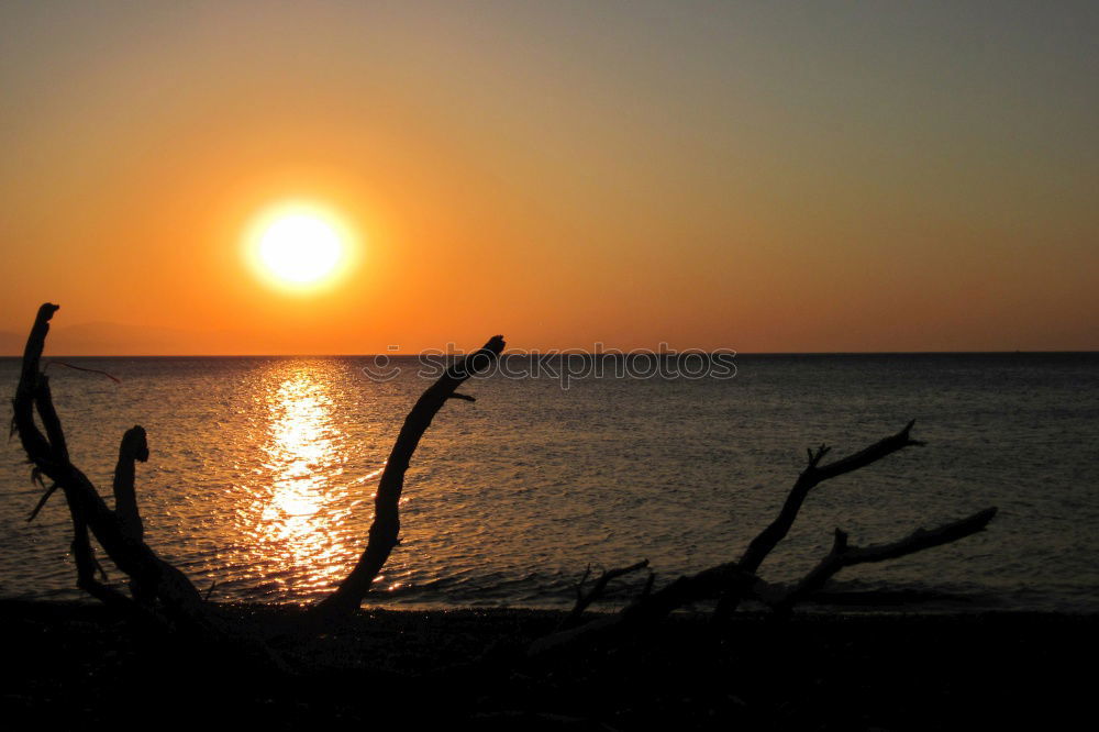 Similar – Image, Stock Photo sun Sunset Ocean Horizon