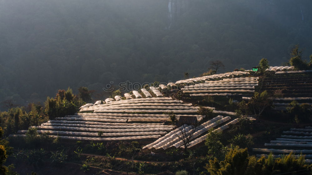 Similar – Image, Stock Photo Vineyards in autumn