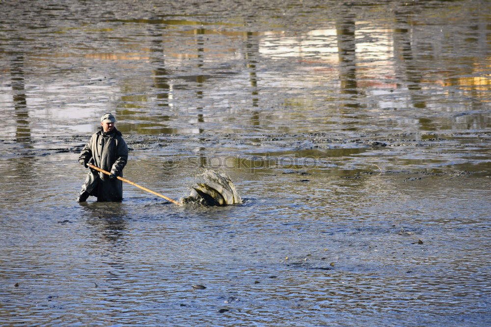 Similar – Kenya Crocodile River