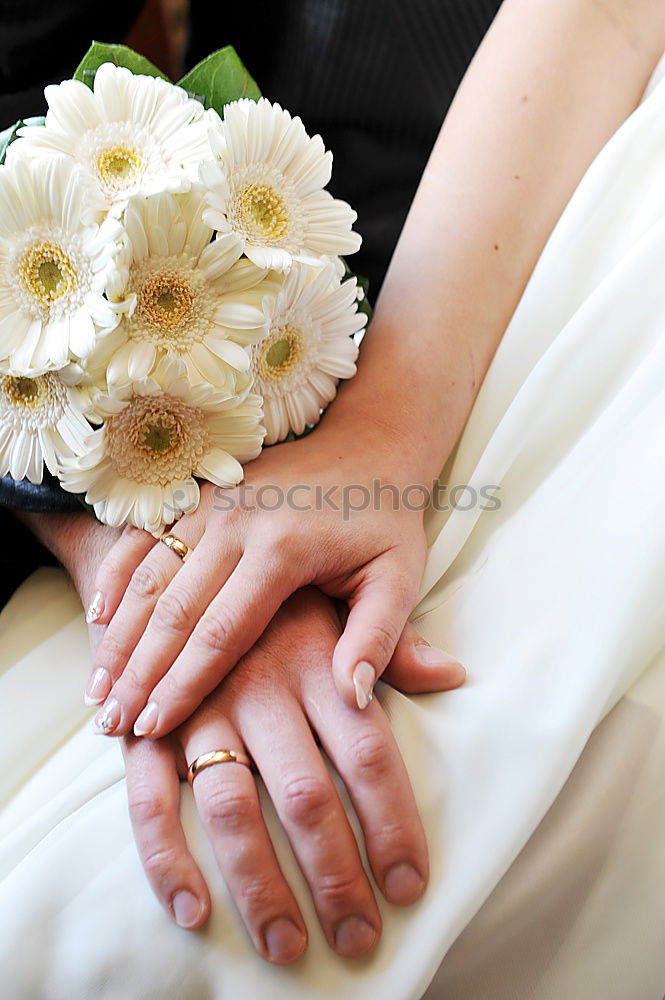 Similar – Image, Stock Photo Bridesmaid helping bride for the wedding day