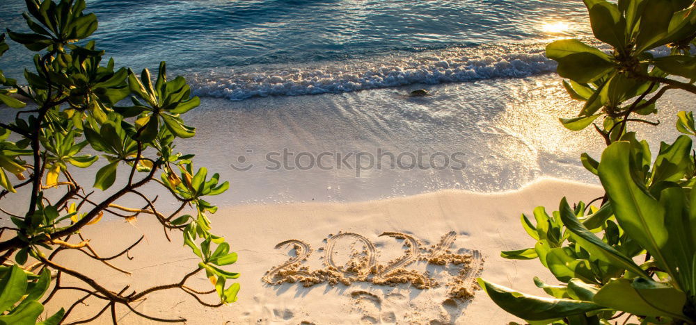 Similar – Image, Stock Photo Aerial View Of People Crowd On Portugal Beach