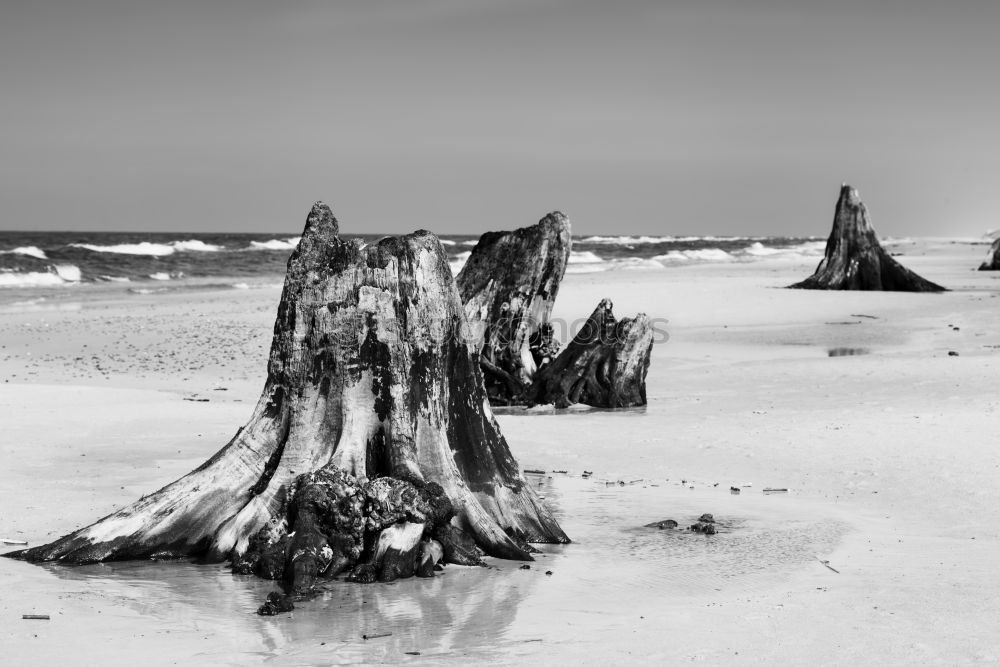 Similar – Foto Bild Weststrand Umwelt Natur