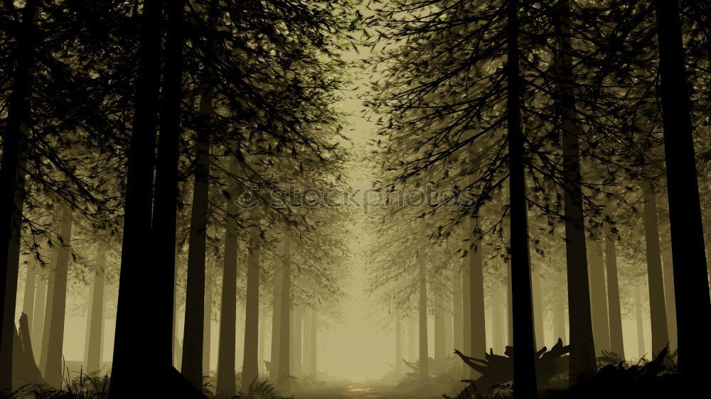 Similar – Image, Stock Photo Forest1 Coniferous trees