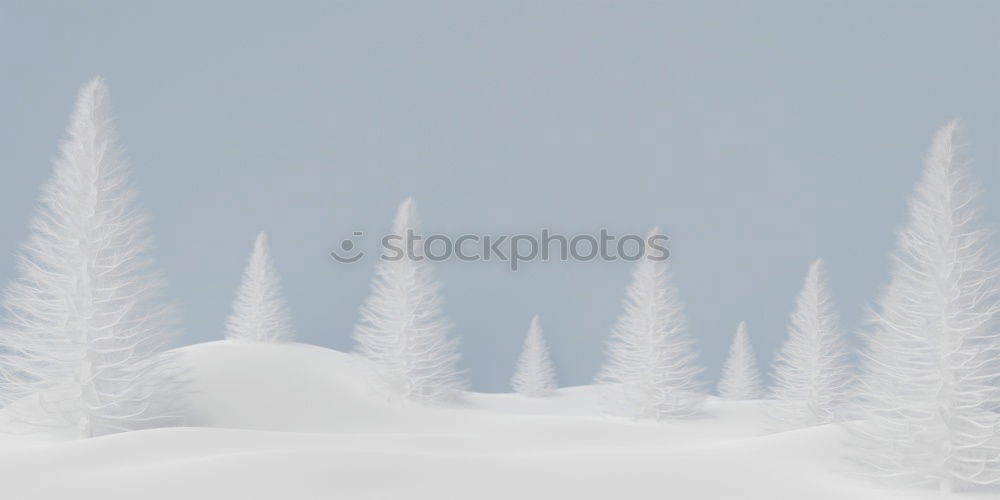 Double Winter Forest