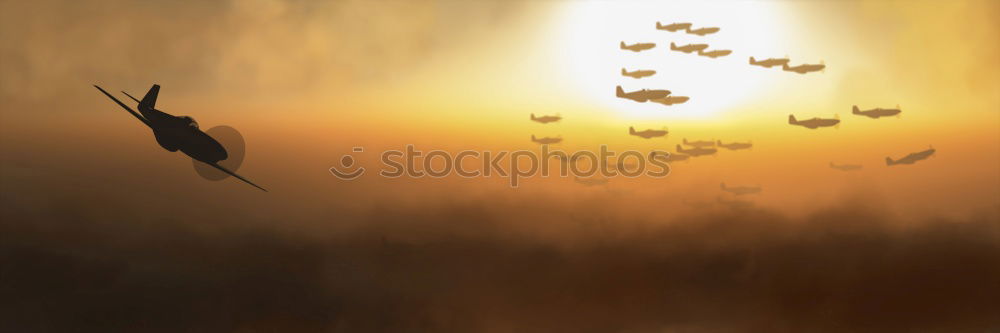 Similar – birds Clouds Light Sunset