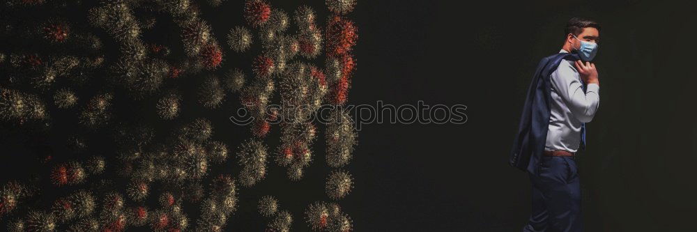 Similar – Image, Stock Photo Paulchen likes lollipops