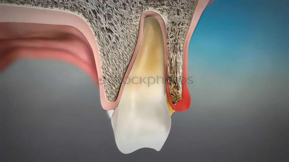 Similar – Kiefer Unterkiefer Zähne