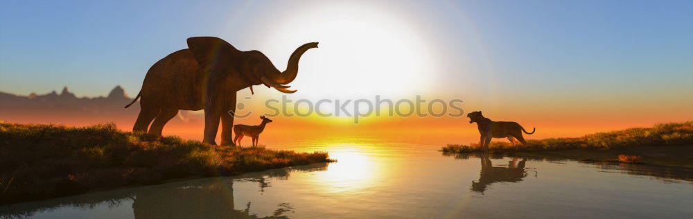 Image, Stock Photo beach horses Horse Foal