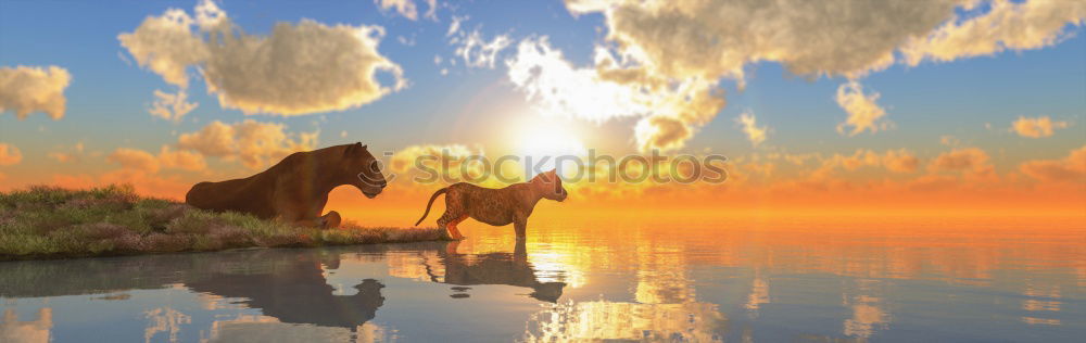 Similar – Image, Stock Photo Sunrise at the sea Ocean