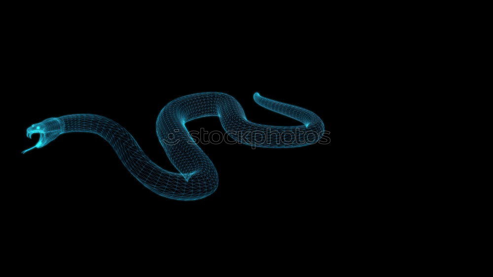 Similar – Image, Stock Photo snake Viper Snake Net