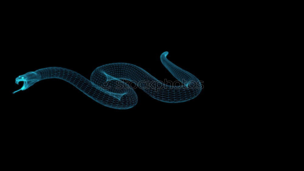 Similar – Image, Stock Photo snake Viper Snake Net