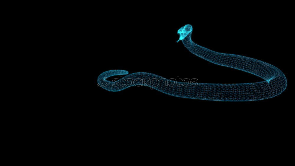 Similar – Image, Stock Photo snake Viper Snake Net