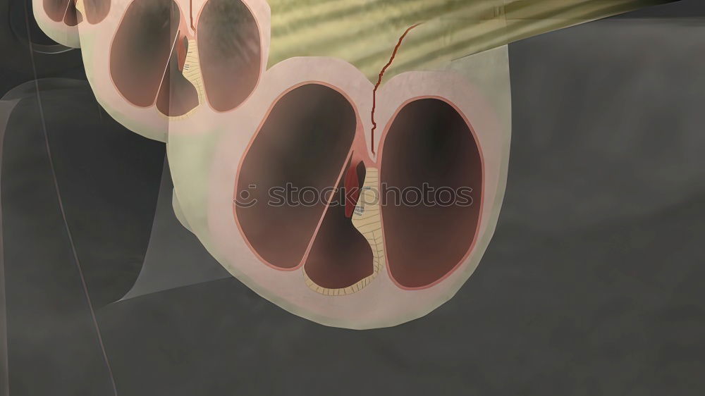 Similar – corrugated heart Emotions