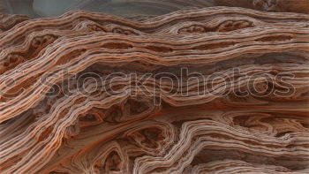 Image, Stock Photo Wood and sand