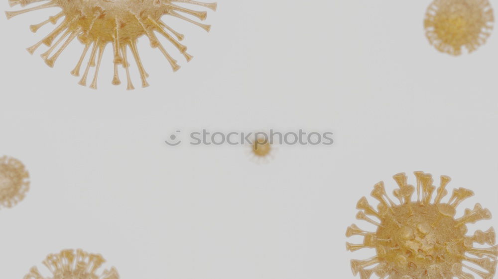 Similar – Image, Stock Photo Volvoxalga magnified approx. 100x in transmitted light