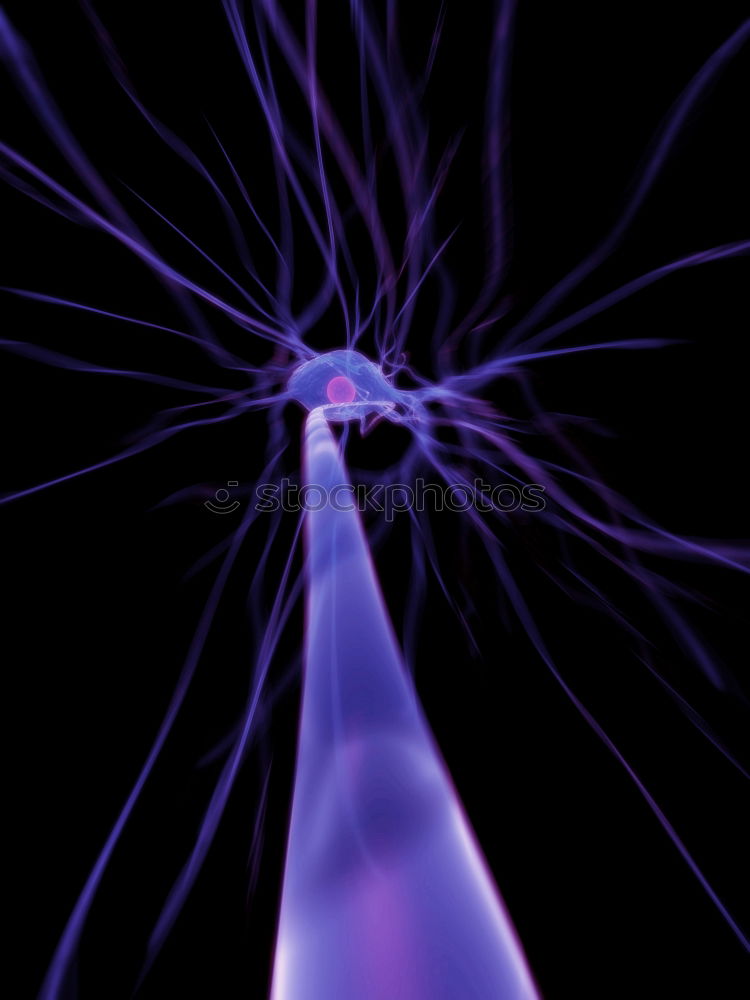 Similar – Image, Stock Photo dark matt 2 Plasma globe