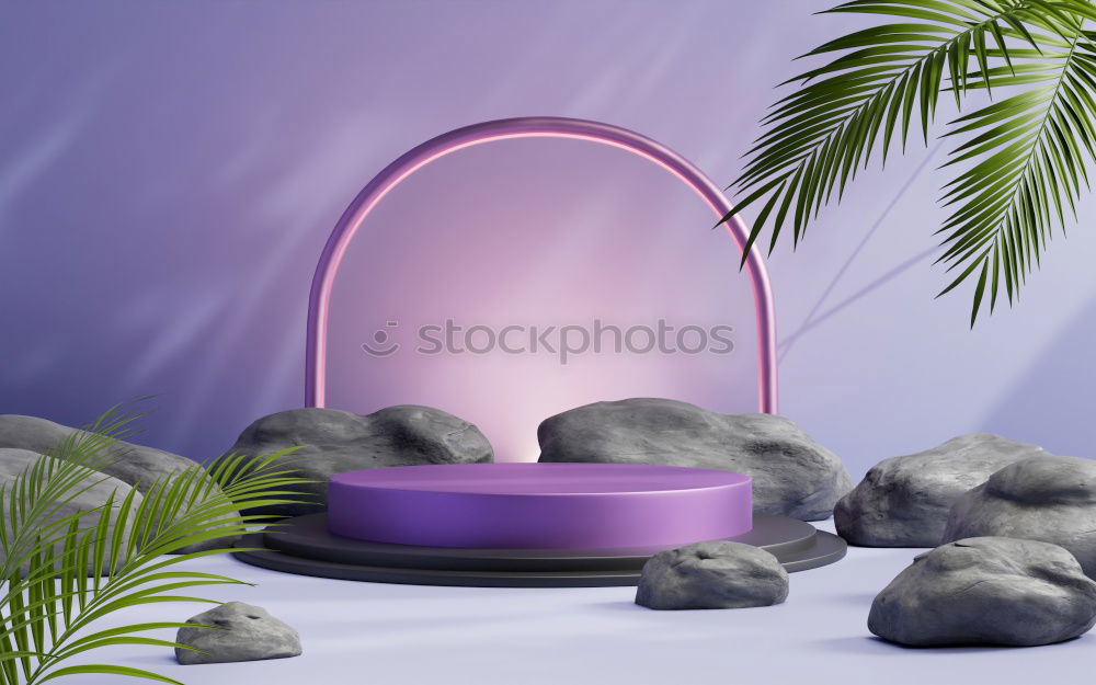 Similar – Foto Bild Die Anzucht von Setzlingen zu Hause und rosa LED-Phyto-Leuchtlampen für Pflanzen.