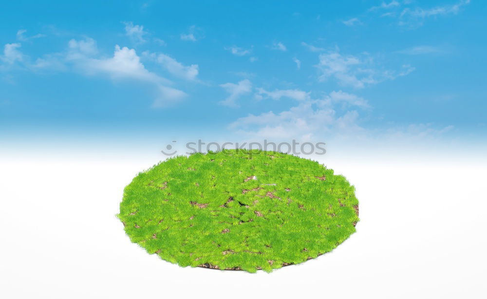 Similar – Image, Stock Photo vinegar tree