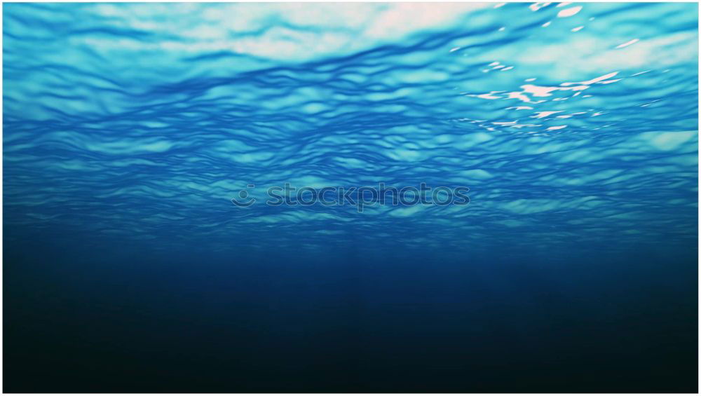 Similar – Image, Stock Photo Water Sky Ocean