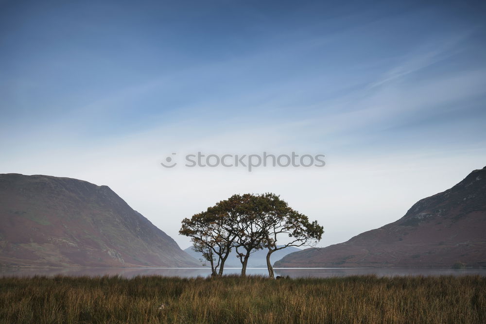 Similar – Image, Stock Photo Scotland I Nature
