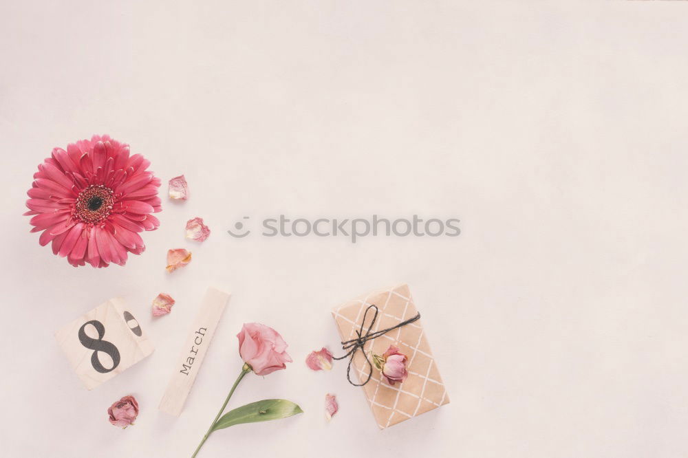 Image, Stock Photo autumn or winter feminine flat lay