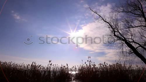 Similar – Image, Stock Photo Heaven on earth 8 Sky