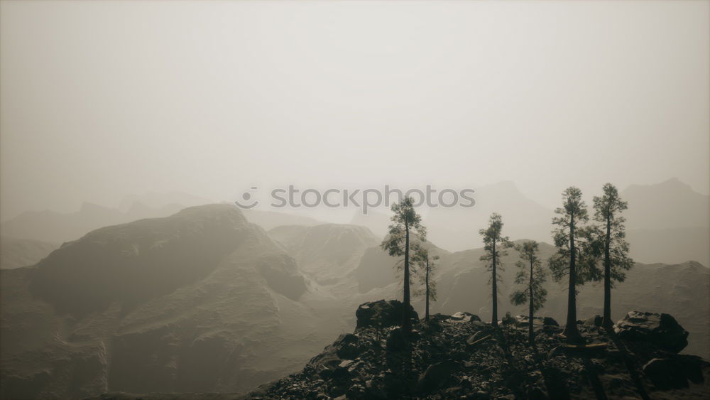 Similar – Image, Stock Photo terraces Agriculture