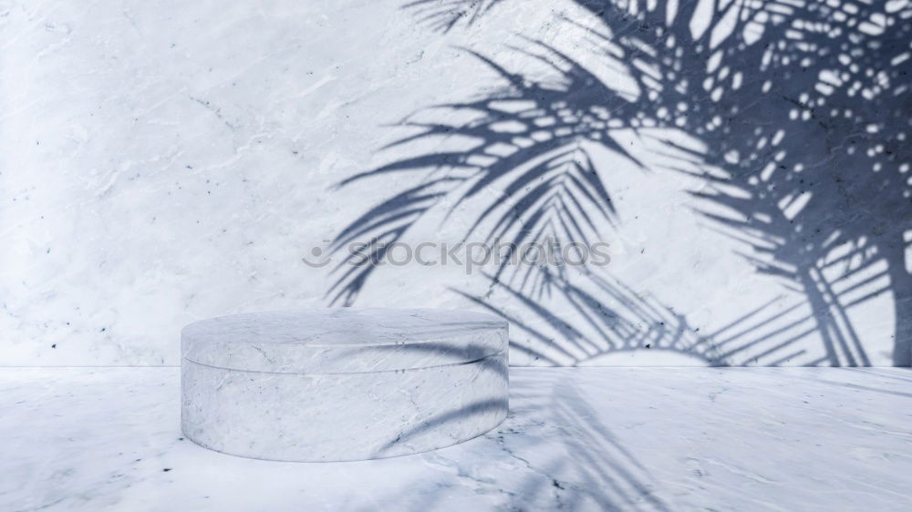 Similar – Image, Stock Photo forsake sb./sth.