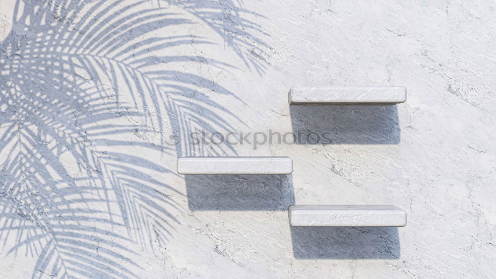 Similar – Image, Stock Photo Palma de platta