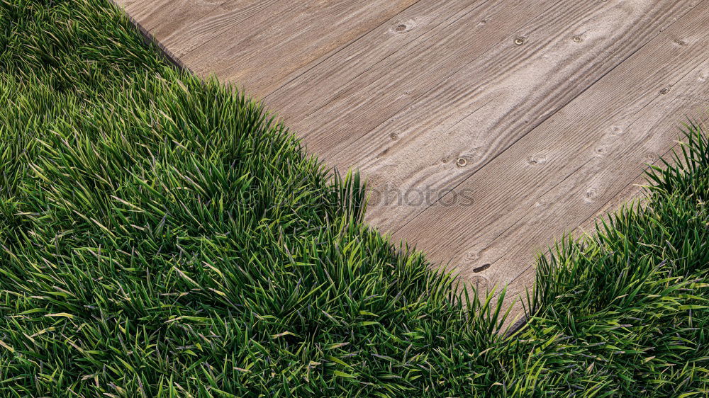 Similar – lawn edge Green Soft Grass