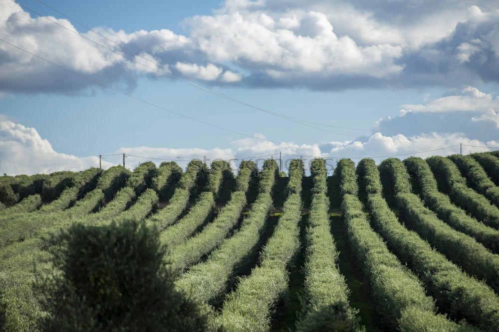 Similar – Image, Stock Photo View of Vienna Environment