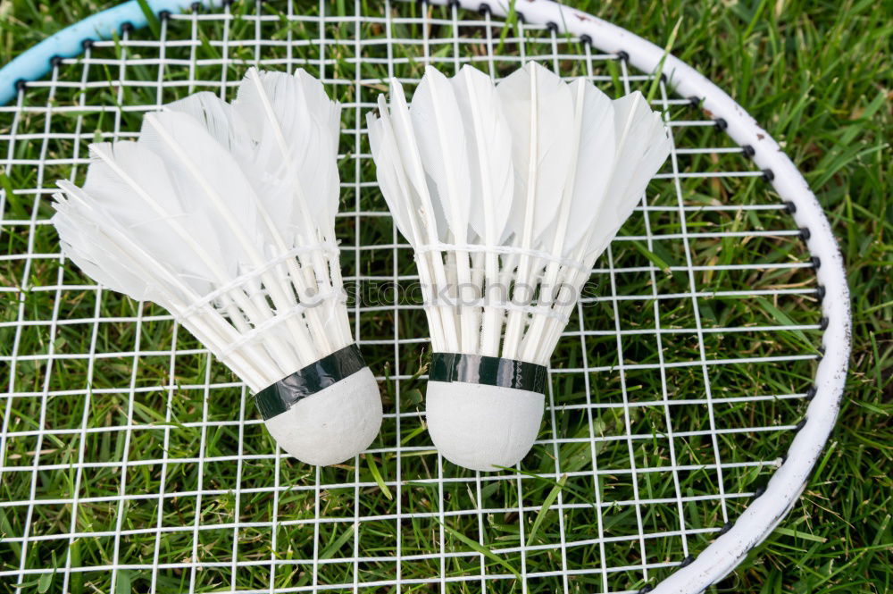 a badminton ball is lying on a badminton racket in the grass