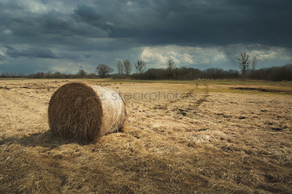 Similar – Image, Stock Photo to the good of the palatinate