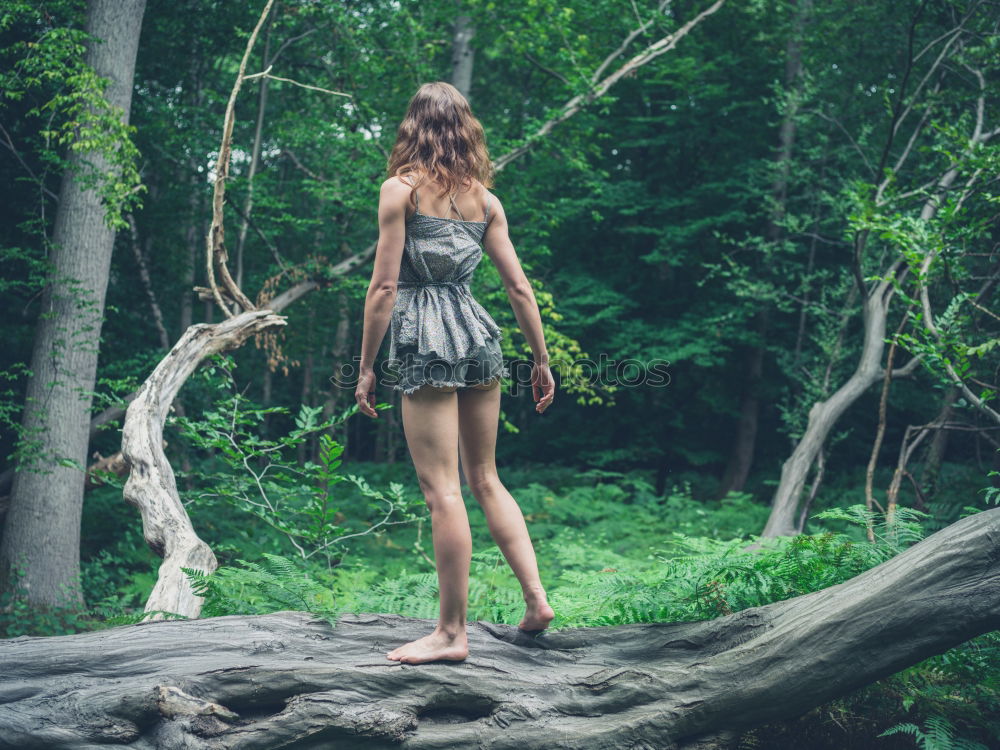 Similar – Young woman in the forest