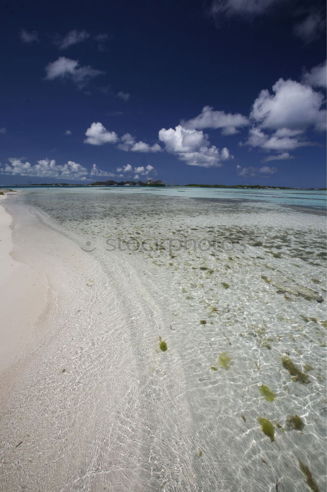 Similar – Image, Stock Photo Maldives Beach 01 Ocean