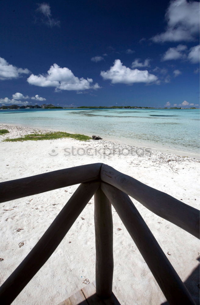 Similar – Image, Stock Photo mauritius and isle Pot