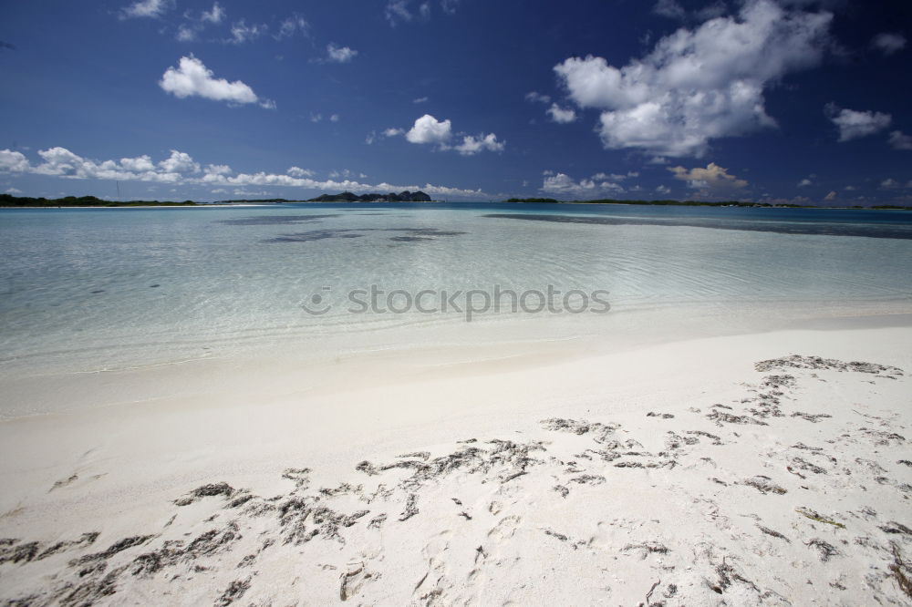 Similar – Image, Stock Photo Maldives Beach 01 Ocean