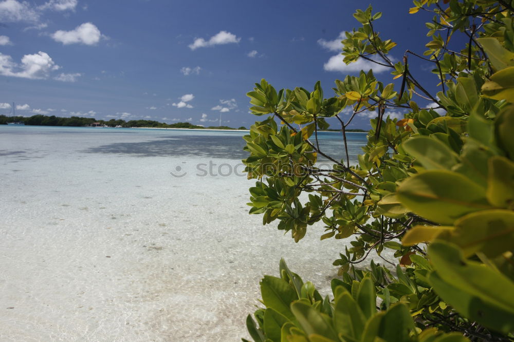 Similar – Image, Stock Photo Waterworld Nature Ocean