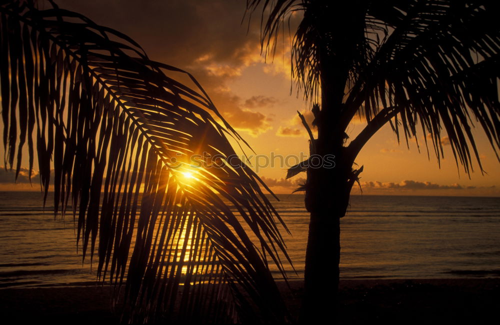 Similar – Sunset Caye Caulker