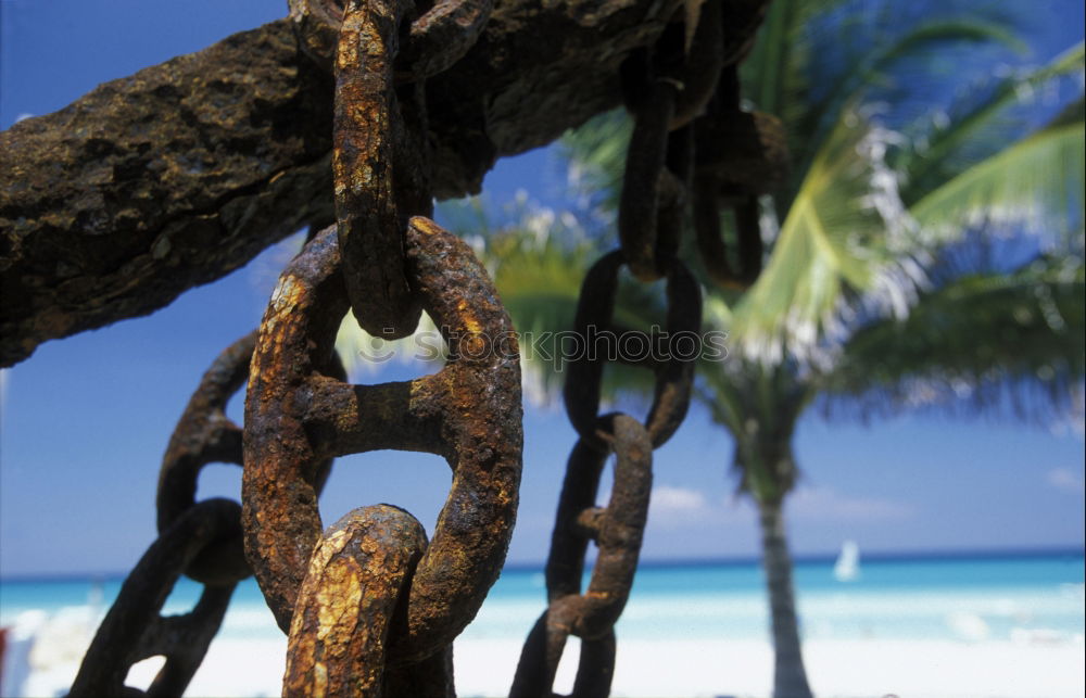 Similar – Image, Stock Photo ruffle about Beach