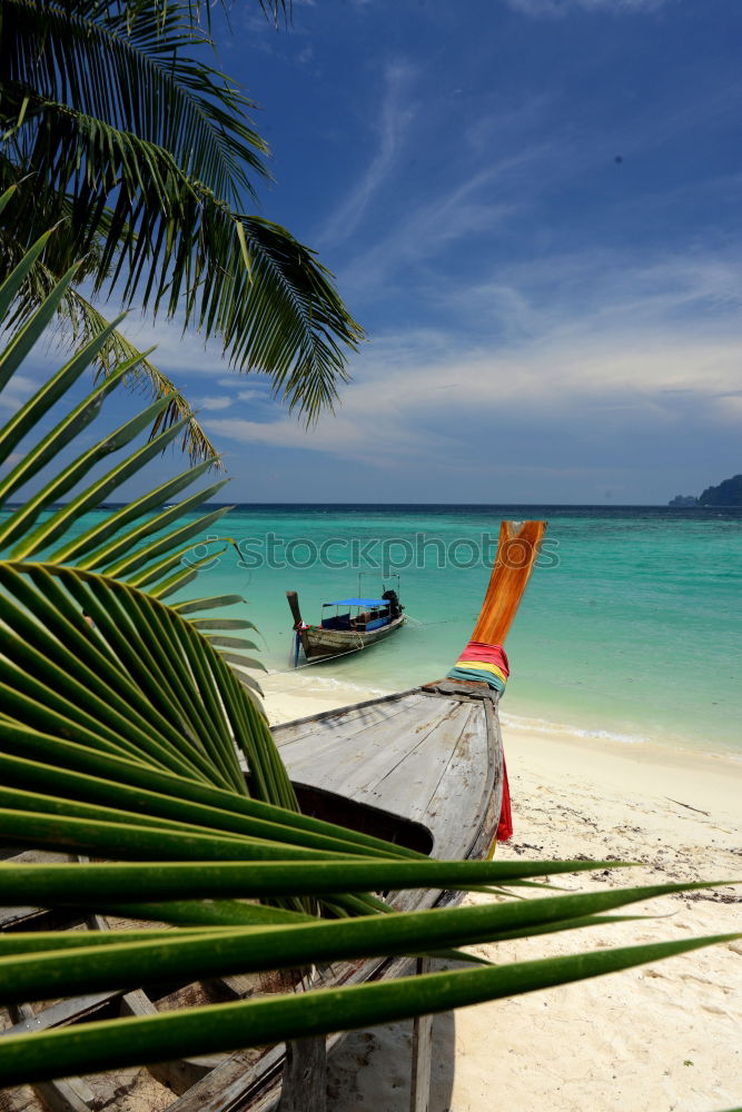 Similar – deceleration| perhentian besar