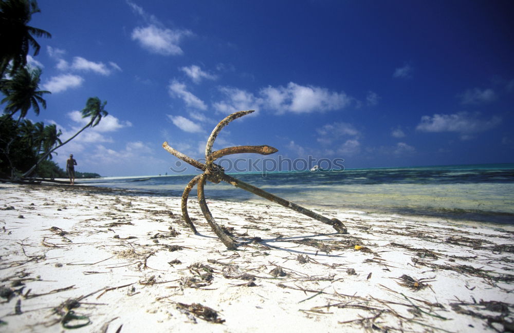 Similar – Image, Stock Photo ruffle about Beach