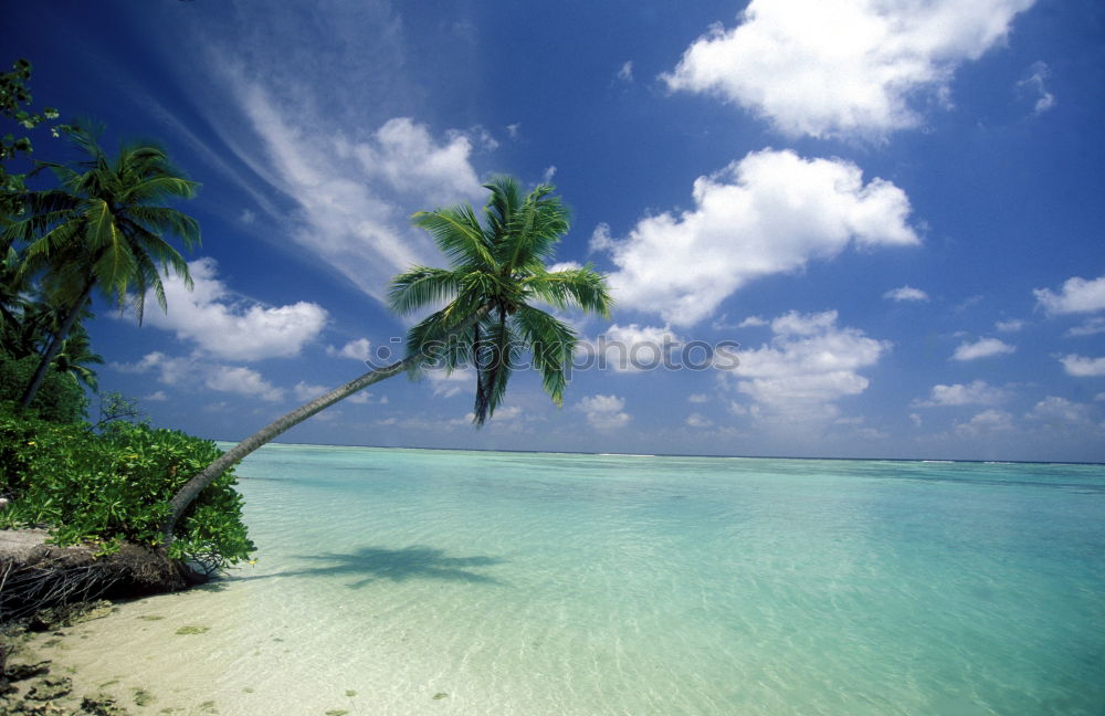 Similar – Image, Stock Photo * DREAM * Relaxation Calm