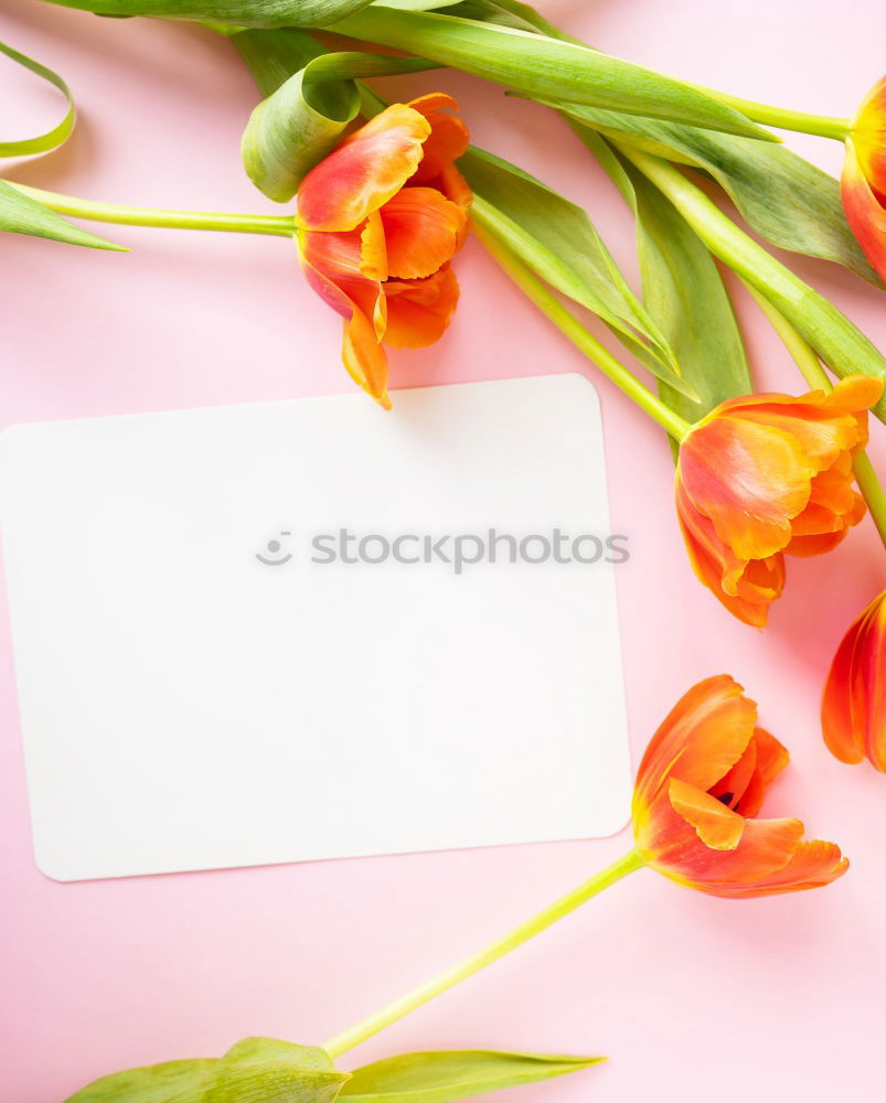 Similar – Image, Stock Photo Female hands write greeting card on pink table with flowers