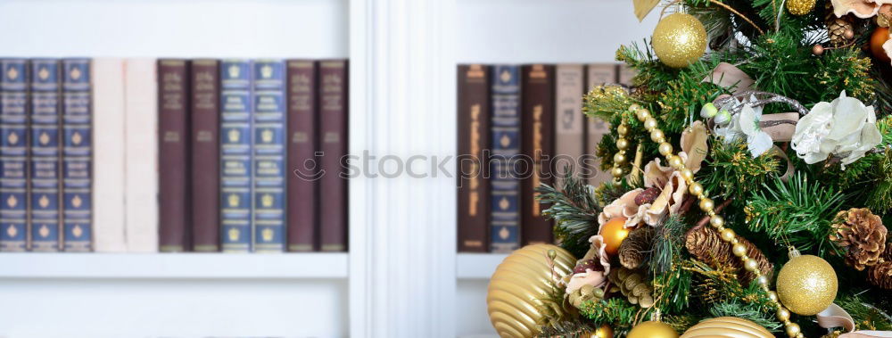 Similar – Image, Stock Photo Christmas preparation