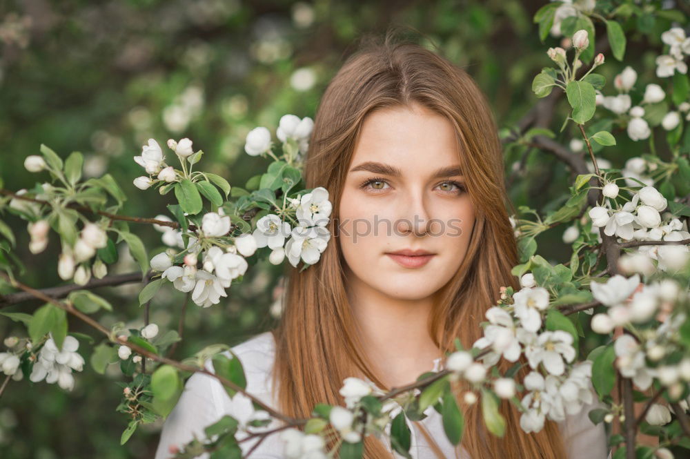 Image, Stock Photo Flower time