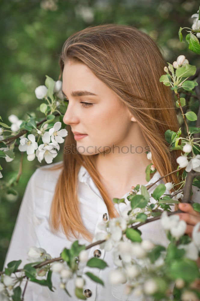 Image, Stock Photo Almond blossom joyful moment