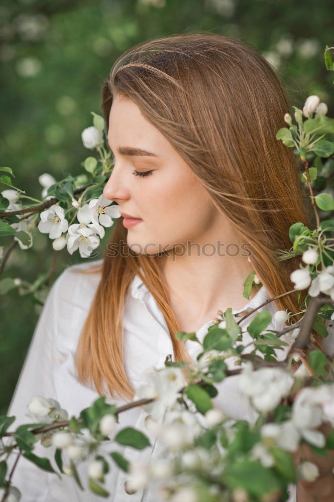 Similar – Image, Stock Photo Flowering picture frame