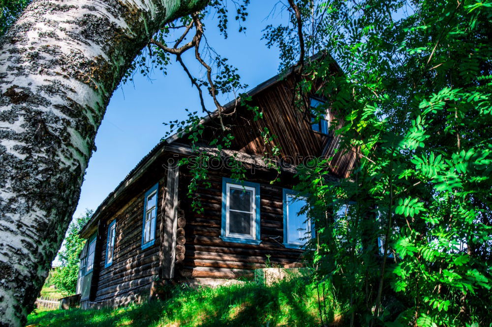 Image, Stock Photo Hunting lodge in the forest