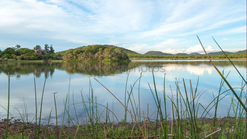 Similar – Neulich im Moor Umwelt